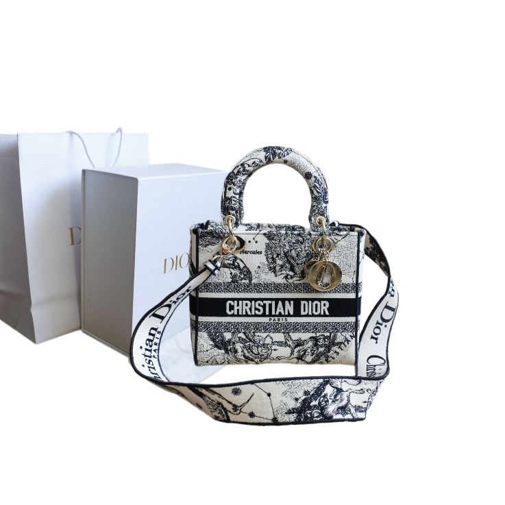 Dior D-Lite Pequeña Bag 