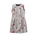 Versace Roses Dress