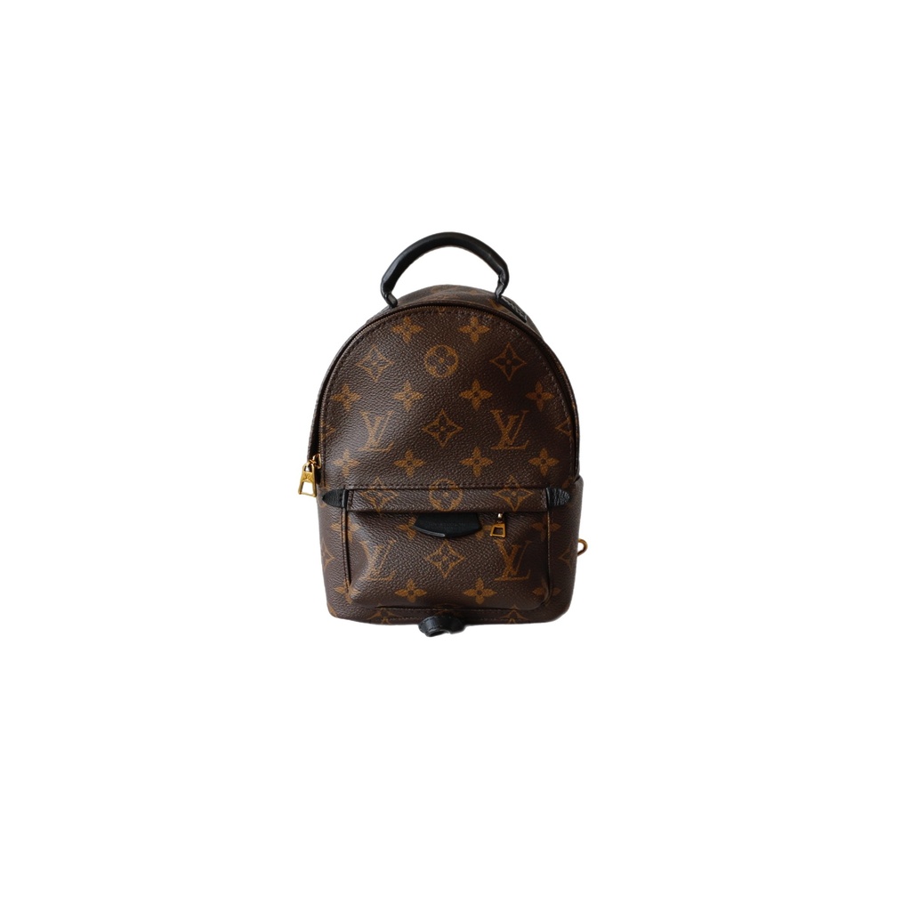 Louis Vuitton Palm Springs Mini Backpack