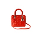 Dior Canage Lady Dior Medium Bag