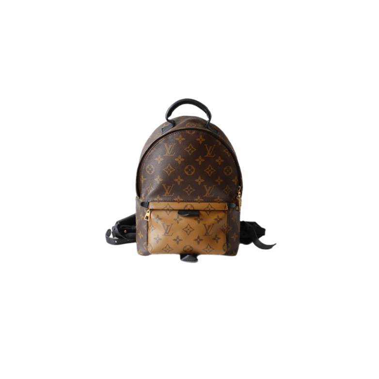 Louis Vuitton Palm Springs MM Backpack