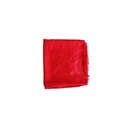 Louis Vuitton Red Scarf