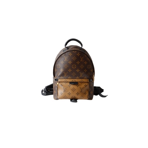 Louis Vuitton Palm Springs MM Backpack