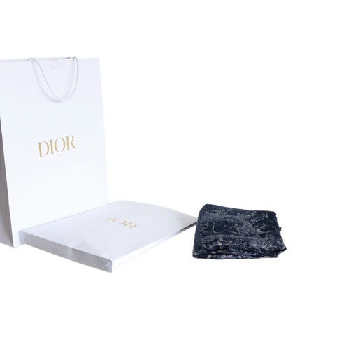 Dior Toile De Jouy Scarf