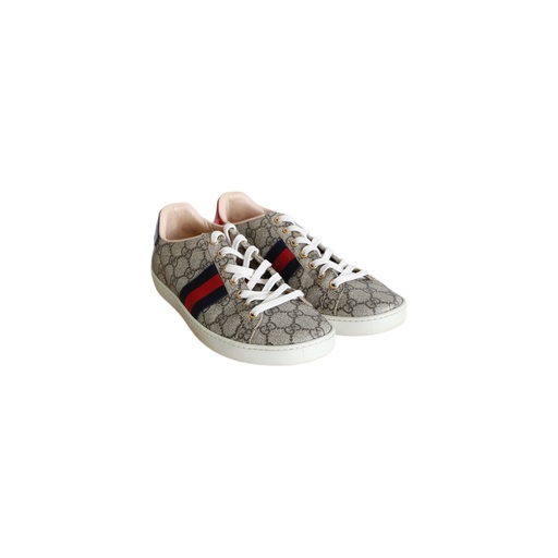 Gucci Ace Web Supreme Sneakers